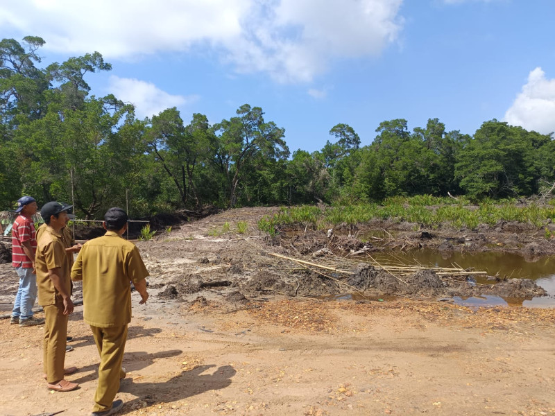 MONITORING MANGROVE AIRPORT