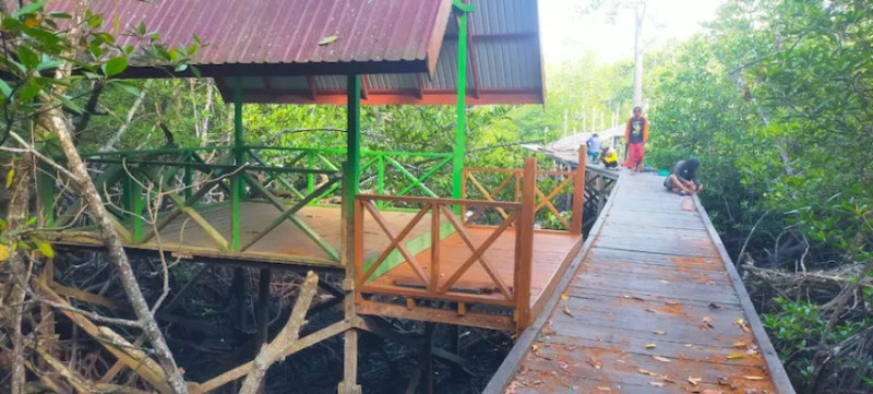 PENINGKATAN GAZEBO WISATA MANGROVE DESA SANGKIMA