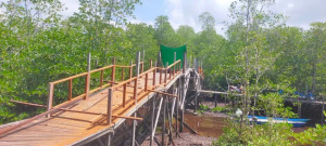 PEMAGARAN WISATA MANGROVE DESA SANGKIMA